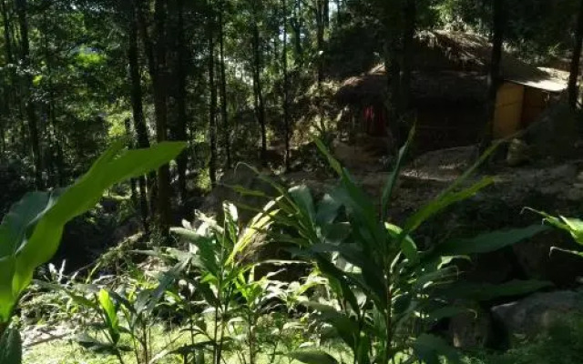 Tieedi Earthy Dwelling