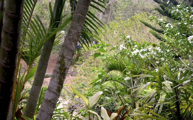 Posadas Ecoturisticas San Rafael