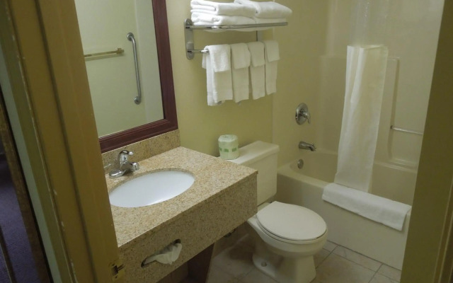 Quality Inn And Suites Dublin