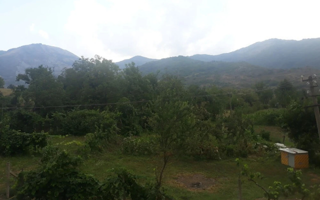 Vila Disha