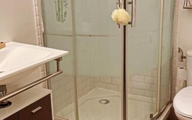 Grand T1 de 38 m2 au design épurée