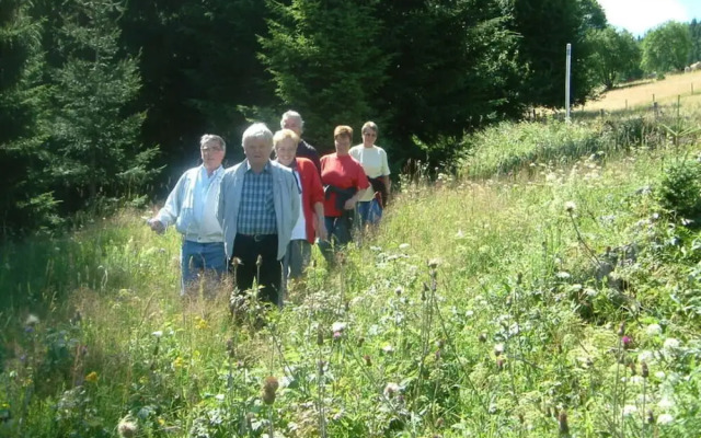 Nesterl Modern Retreat