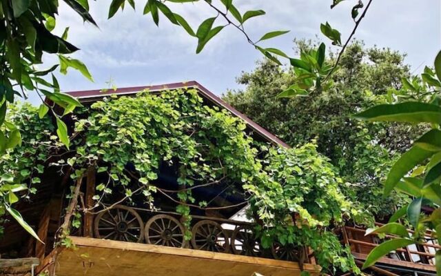 Kas Dogapark Otel