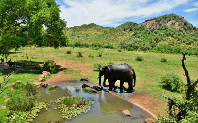 Kwa Maritane Bush Lodge Pilanesburg