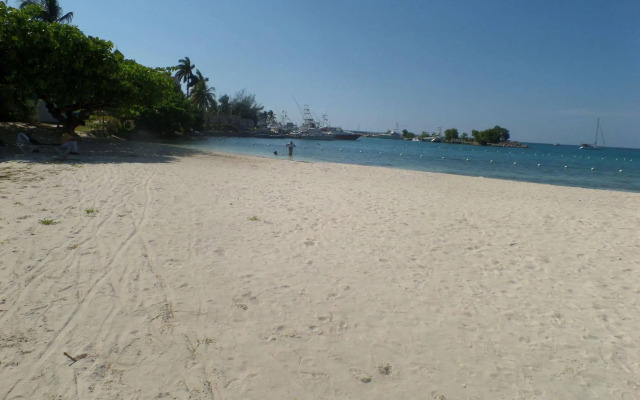 Island Breeze Studio