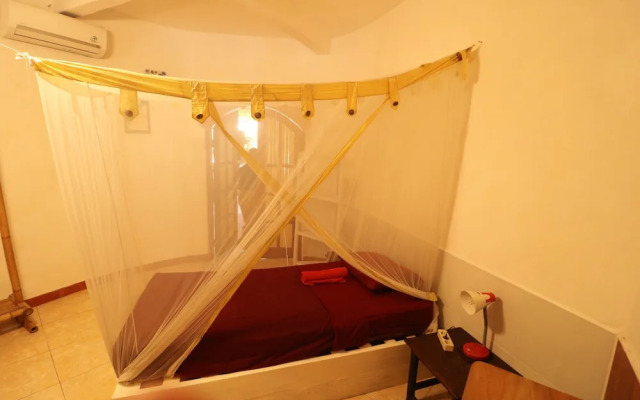 Serenity Eco Guesthouse and Yoga