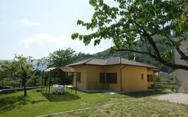 Ciclamino Bianco