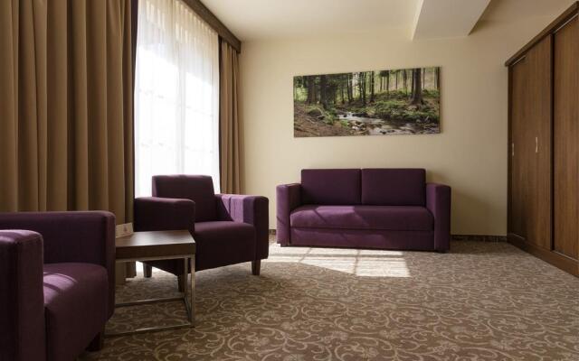 Hotel Mercure Krynica Zdrój Resort&Spa