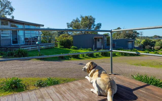 Harmony at Tower Hill Apartment