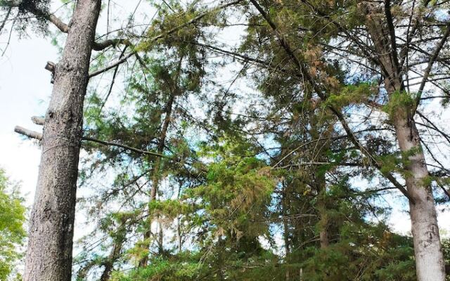 Villa Patzcuaro Garden Hotel & RV Park