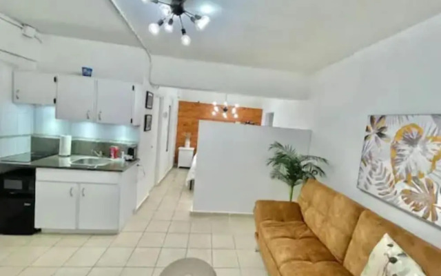 Condado Tropic Sun Apartment B