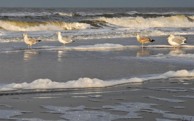 Studio Glücklich am Meer