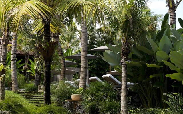 Kalapa Resort and Yoga retreat