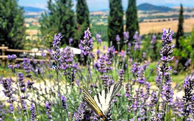 B&B Il Poggio di Fiore