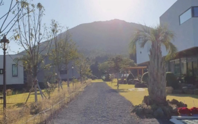 Jeju Camp Harris Spa Pension