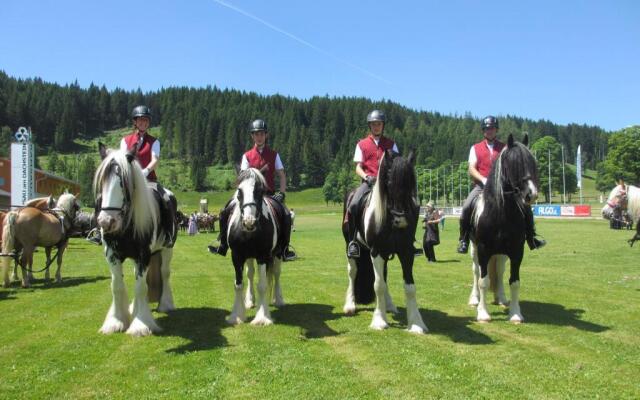 Reitercamp Ortnerhof