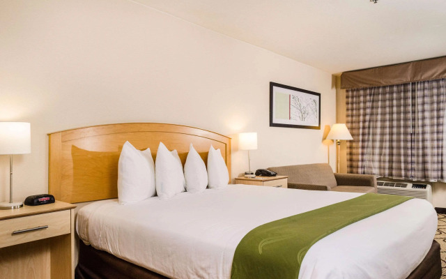 Quality Inn & Suites Lathrop - South Stockton