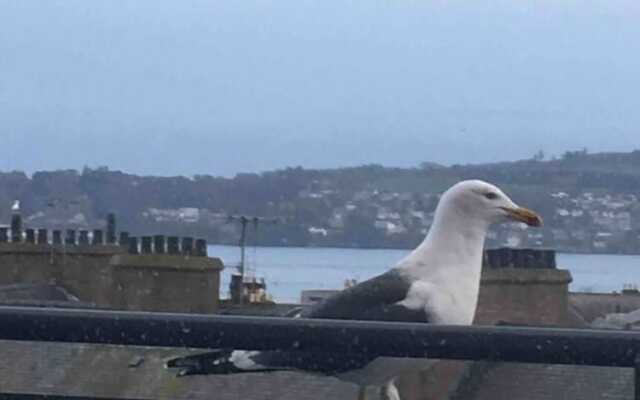 The Hotel Broughty Ferry