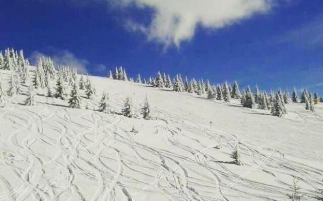 Milmari Lux Apartment N74 Kopaonik