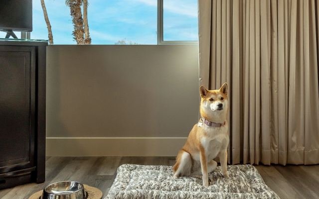Onsen Hotel & Spa