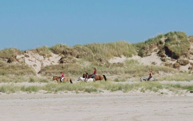 "Genta" - 1km from the sea in Western Jutland