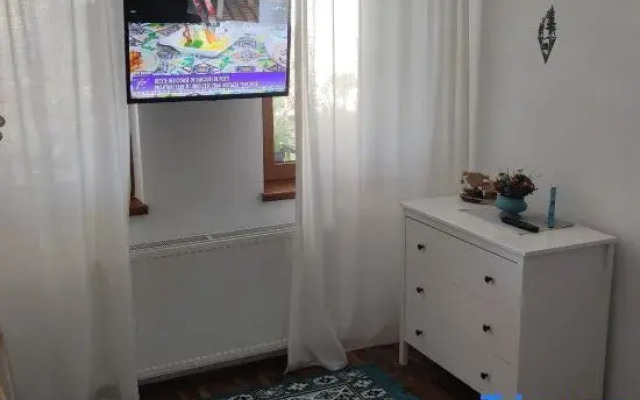 Little Bear Busteni 3