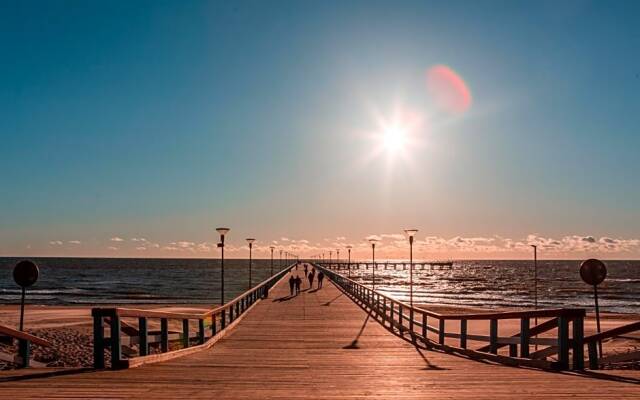 Basanavičiaus g. 45 Apartments