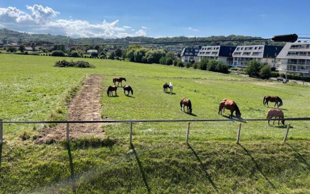 Houlgate Appartement La Briarde