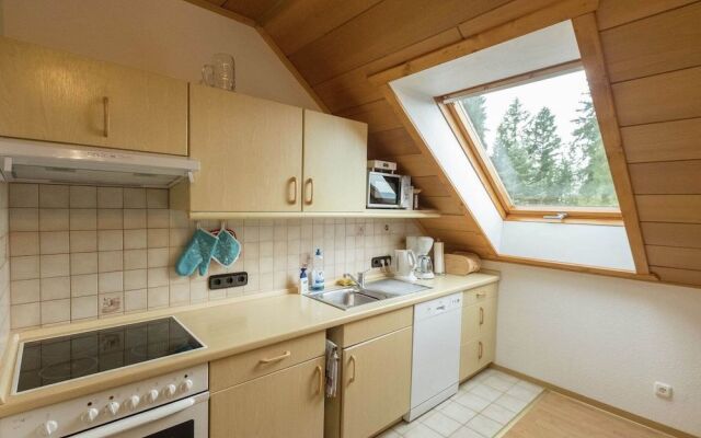 Modern Apartment in Bad Grund wit Garden