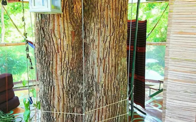 Nature Observatorio Amazing Treehouse