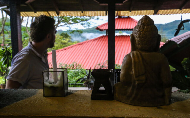 The Golden Frog Inn