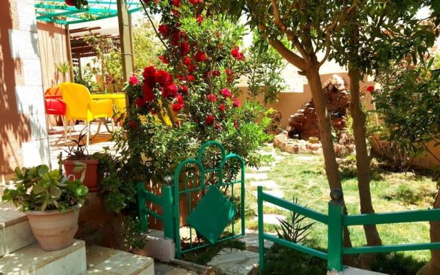 Why not bedouin house