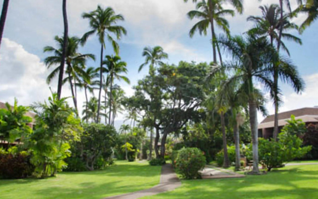 Maui Sands