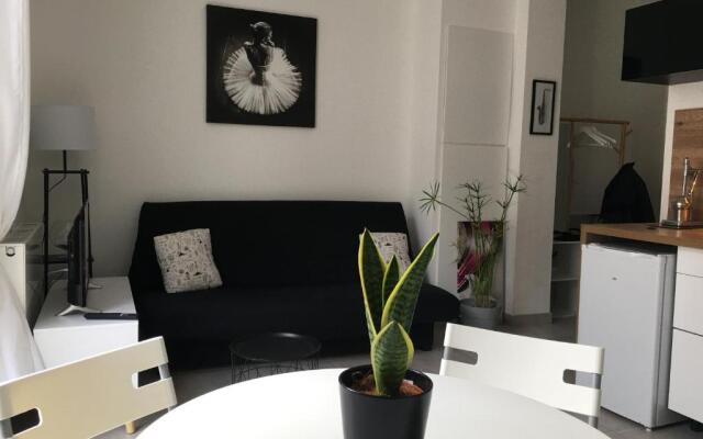 Appartement calme,lumineux ,coeur culturel deTOURS