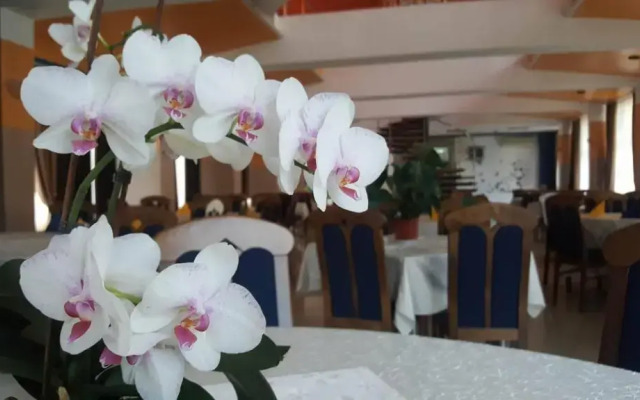 Motel Blue River Calimanesti