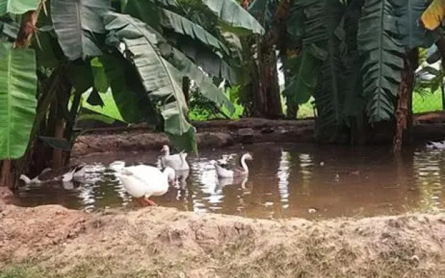 Sarojini Gardens