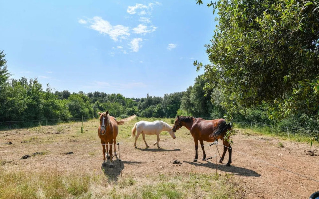Gite in Holiday Park With Swimming Pool