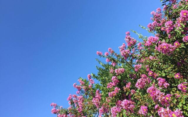 Il Fortino Mini Suites