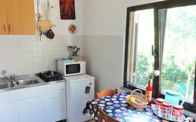 Apartments Sverko 70