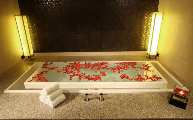Radisson Blu Plaza Delhi Airport