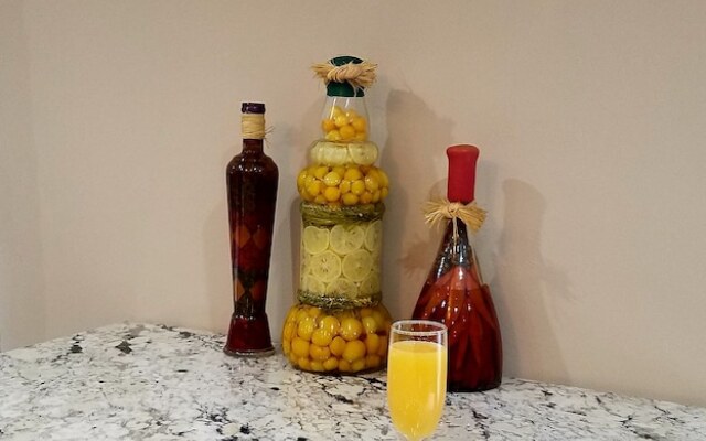 Super 8 Ohare Chicago Elk Grove Village