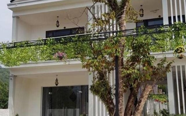 Phuong Vi Family Resort