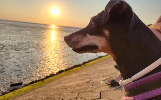 Ferienhaus Christine (Wremen)