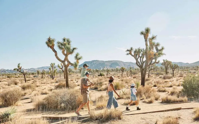 Field Station Joshua Tree