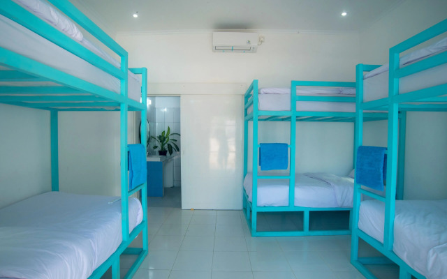 Mad Monkey Kuta Lombok - Hostel