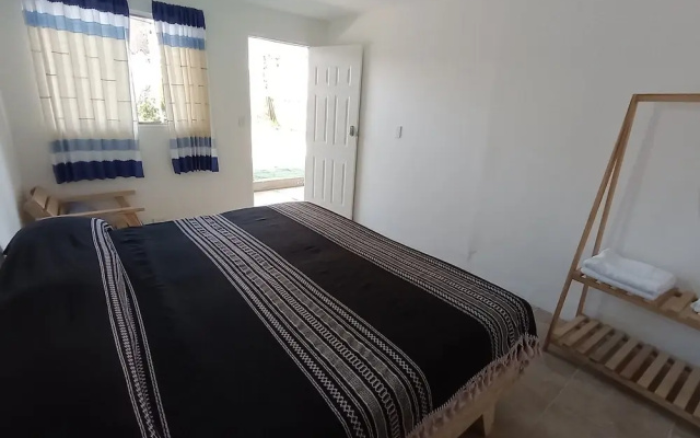 Iguana Co-living