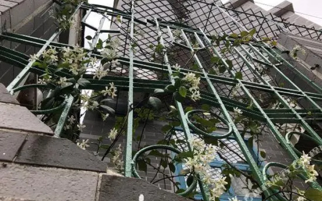 Changdao Youth Hostel