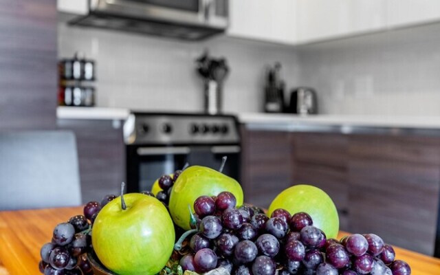 Downtown Dallas Apartments by Hosteeva