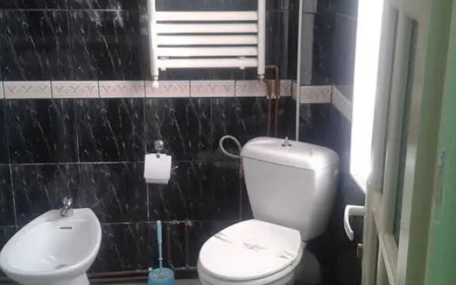 Pensiunea Vila Dana