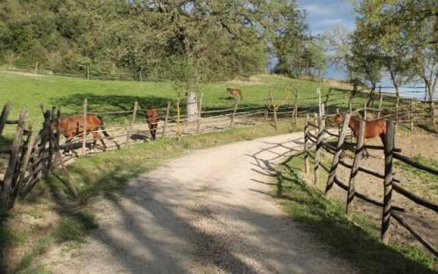 Agriturismo Il Leccione